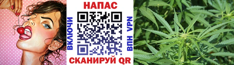 Шишки марихуана Ganja  Купить закладки  Ардатов 